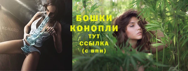 индика Беломорск
