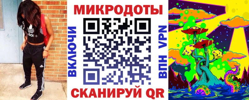 где продают наркотики  Сегежа  Псилоцибиновые грибы мицелий 