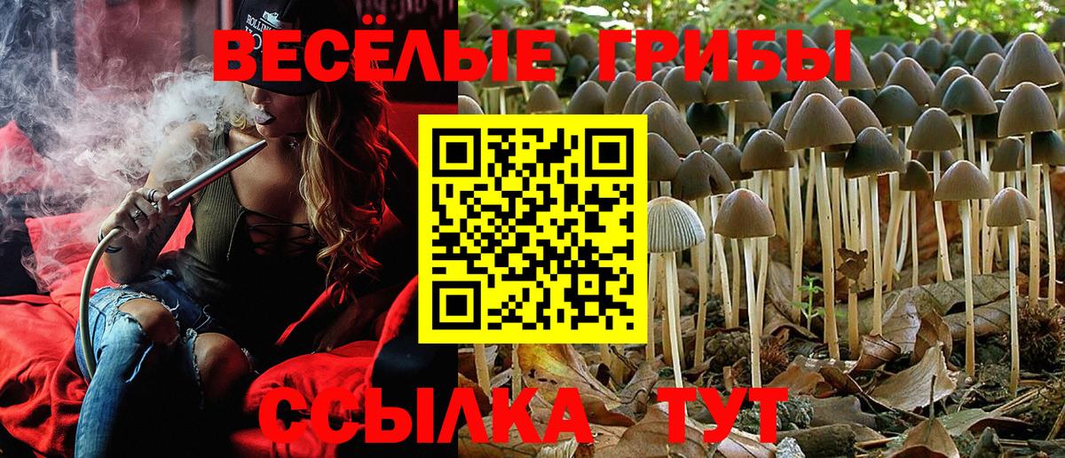 Псилоцибиновые грибы мухоморы Сегежа
