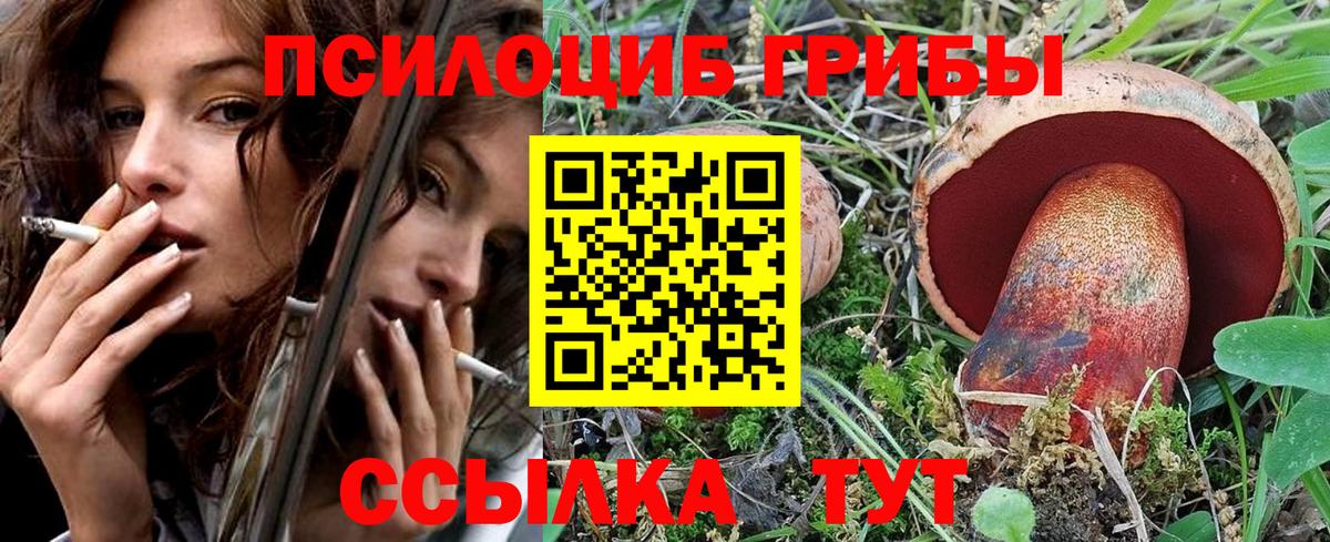 Сегежа  Галлюциногенные грибы Cubensis  Вход с VPN 