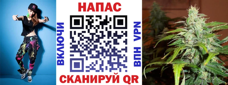 ссылка на мегу как зайти  Сегежа  Шишки марихуана семена 